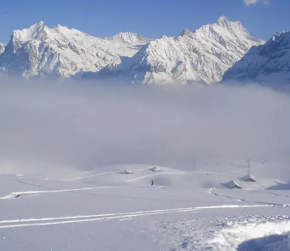 Asterix Appartamento Grindelwald